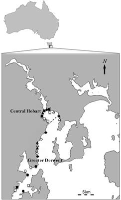 Effects of Pollution From Anthropogenic Point Sources on the Recruitment of Sessile Estuarine Reef Biota